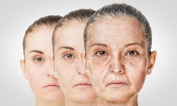 چشم‌های ما ممکن است یکی از بهترین روش‌ها برای تعیین سن بیولوژیکی باشند. لِزک گلاسنر/ شاتر استوک